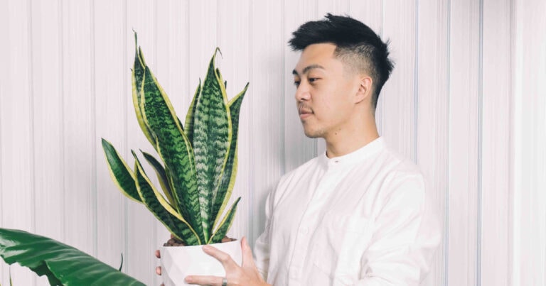 熱蠟除毛完會長痘痘？別緊張！讓UrbanJungle陪你解決